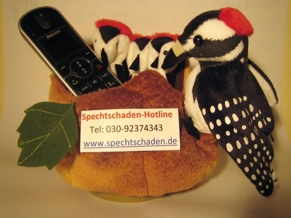 Spechtschadenbeseitigung Colourclean