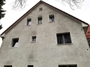 Spechtschaden an Fassaden