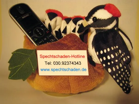 Spechtschaden hotline