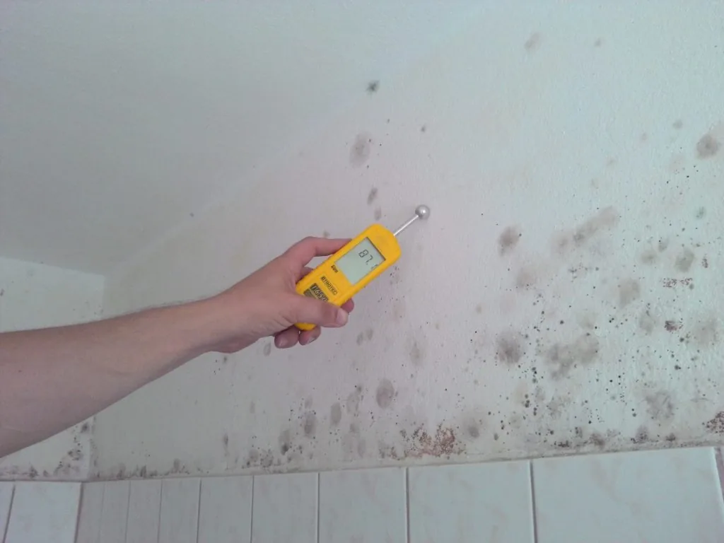 Wasserschaden feuchtemessung 1